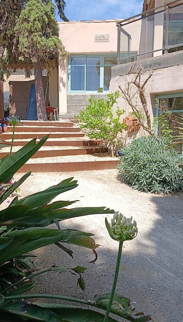 Jardin ensoleillé avec escalier extérieur, plantes vertes et maison en pierre.